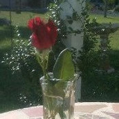 Maureen Duso's photo