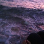 Foto von Mariam Malek