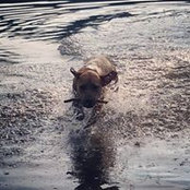 Kacie Daugherty Weston's photo