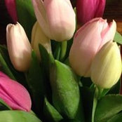 ЛАДА АРИСТАРХОВА's photo