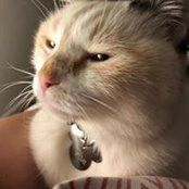 Nicola Derbyshire's photo