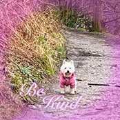 Carol Jowitt's photo