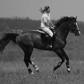 Maria Getova's photo