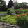 kim_koechley