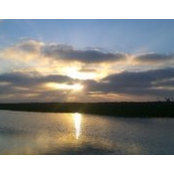 Foto de John Petree