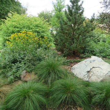 Landscape along the Mississippi