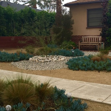Drought Tolerant Rain Garden with Decomposed Granite