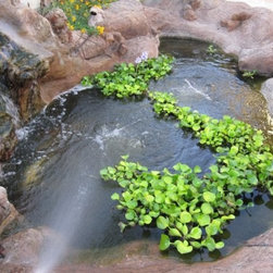 TransBLOCK Structure Form Systems | Koi Pond - Products