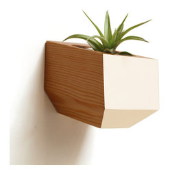 Sidecar Wall Planter - Douglas Fir - Products