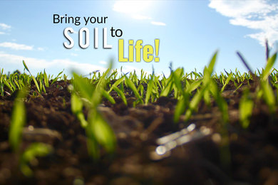 Organic Booster - Feed Your Soil
