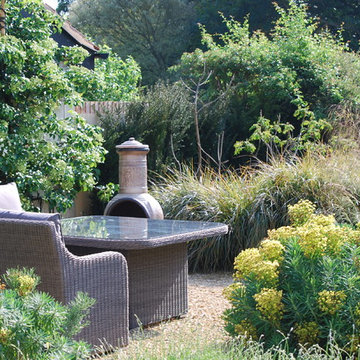 Classical Country Estate Garden by Aralia 'Essex Country Garden'