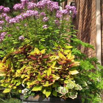 Front & Backyard Landscaping with Moon Garden