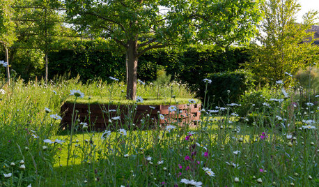 What is Regenerative Gardening?