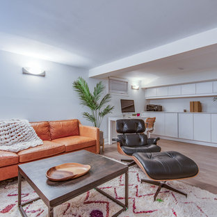Medium sized scandi look-out basement in Toronto with white walls.