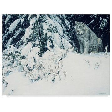 Ron Parker 'Silent Forest Lynx' Canvas Art, 24"x18"