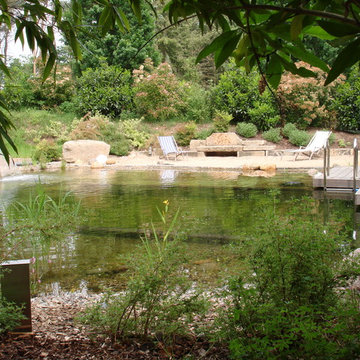 Schwimmteich / Büchen