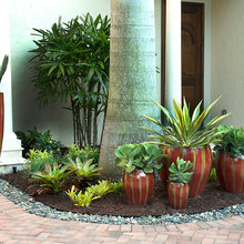 Container Gardening