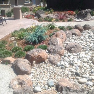 Loomis Back Yard