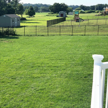 Composite Deck, Sod, Low Voltage Lighting, Playground, and Back Yard Renovation