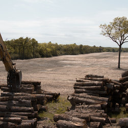 Salvaging Texas Post Oak trees for hardwood floors - Products