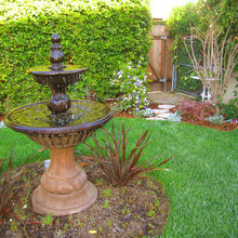Fountain of Youth