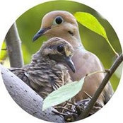 Carla Reynolds's photo
