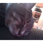 Robyn Kunz's photo