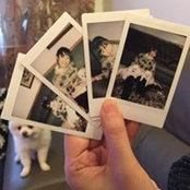 Lydia Jin's photo
