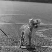 Kelly Lee's photo