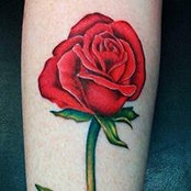 Gretchen Watson's photo