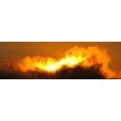 Nancy Ayotte's photo