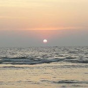 V K Singh's photo