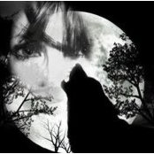Sue Homer's photo