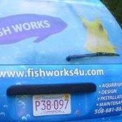 Fish Works's photo