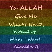Ali Raza's photo