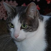 Cecelia Haack's photo