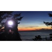 Lesley Matheson's photo