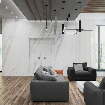 Il soggiorno in stile moderno minimalismo.