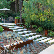 Yard Ideas