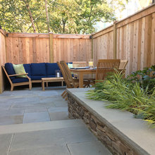 Keith backyard