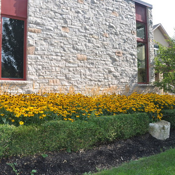 Modern Garden in Hamilton