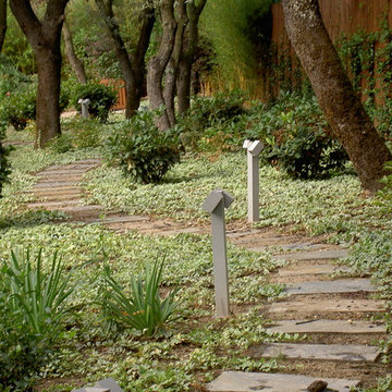 proyecto jardin vivienda en La Moraleja