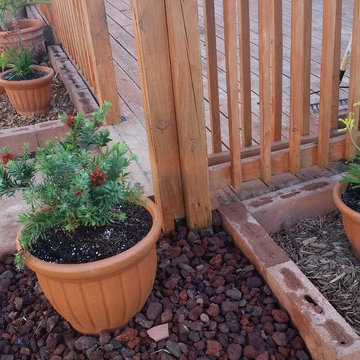 Backyard Deck - Re-do