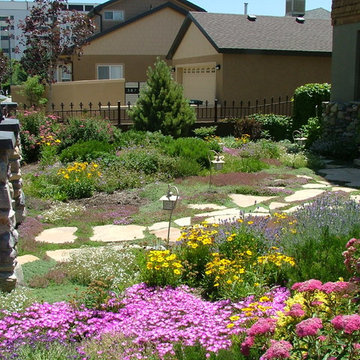 Water wise landscape