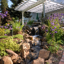 Landscape Ideas