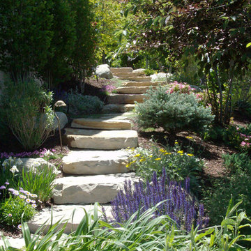 Hillside Lush