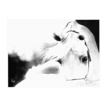 Pictures for house