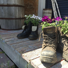 Botanic