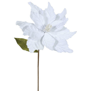 22" White Poinsettia, 12" Flower, 6/Bag