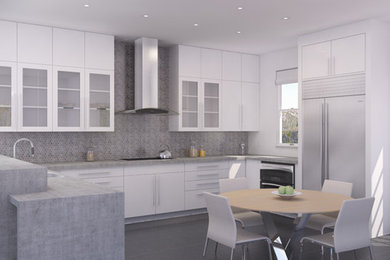 Example of a minimalist kitchen design in Kansas City